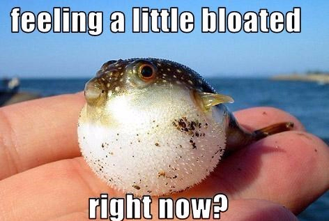puffer fish meme