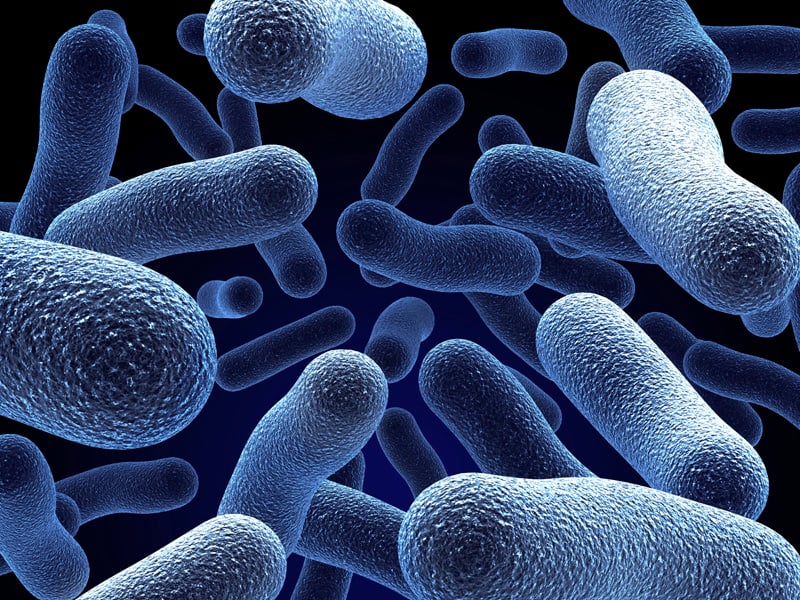 Is Feeding Your Microbiota a Bad Idea?