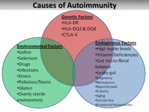 Autoimmunity Infographic