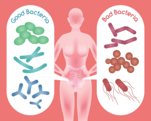 Gut Bacteria Imbalances Causing Weight Gain