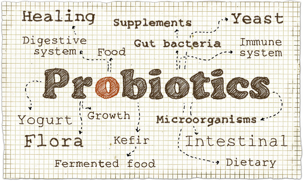 Probiotics Reduce Inflammation – Scientific Proof - AdobeStock105119571 WEB