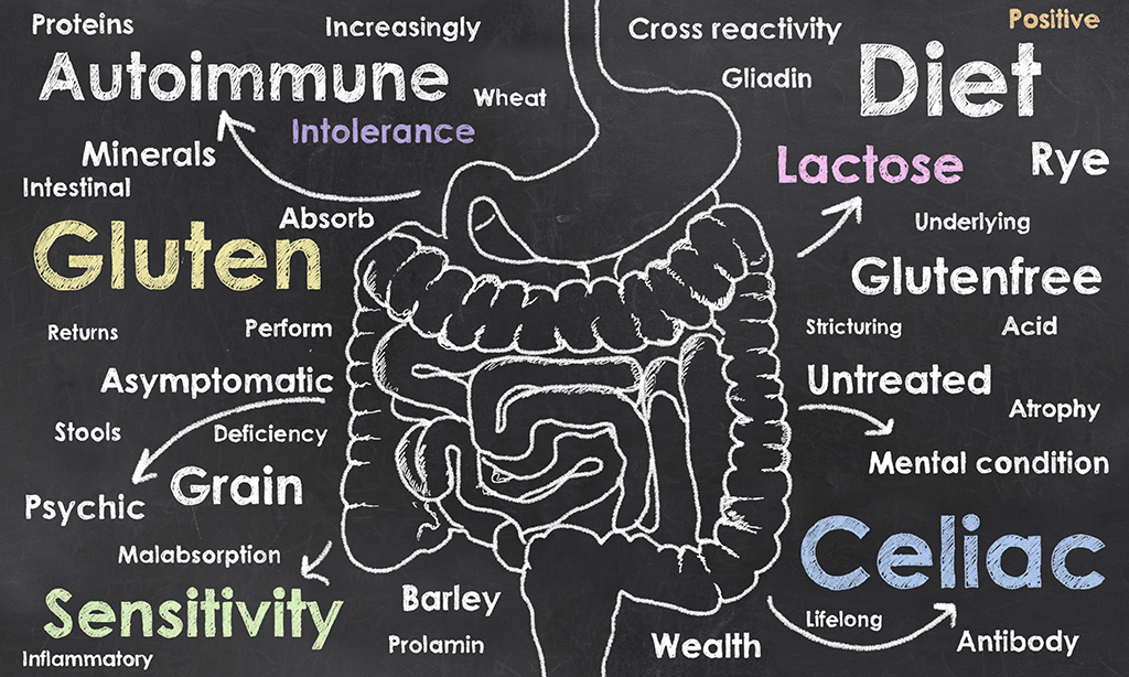 Does Gluten Cause Leaky Gut in Everyone?
