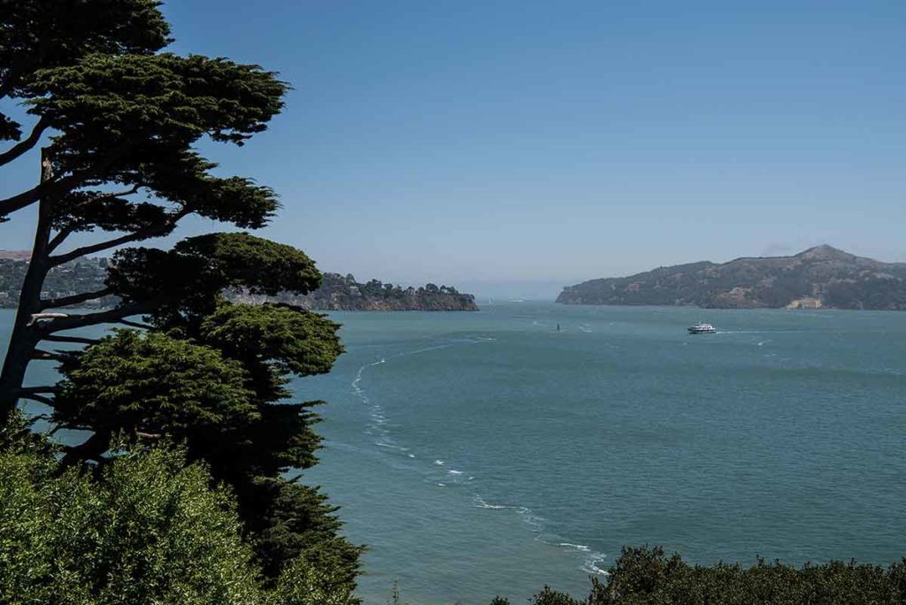 Strategies for Optimum Body Composition with the Mind Pump Crew - DSC0514