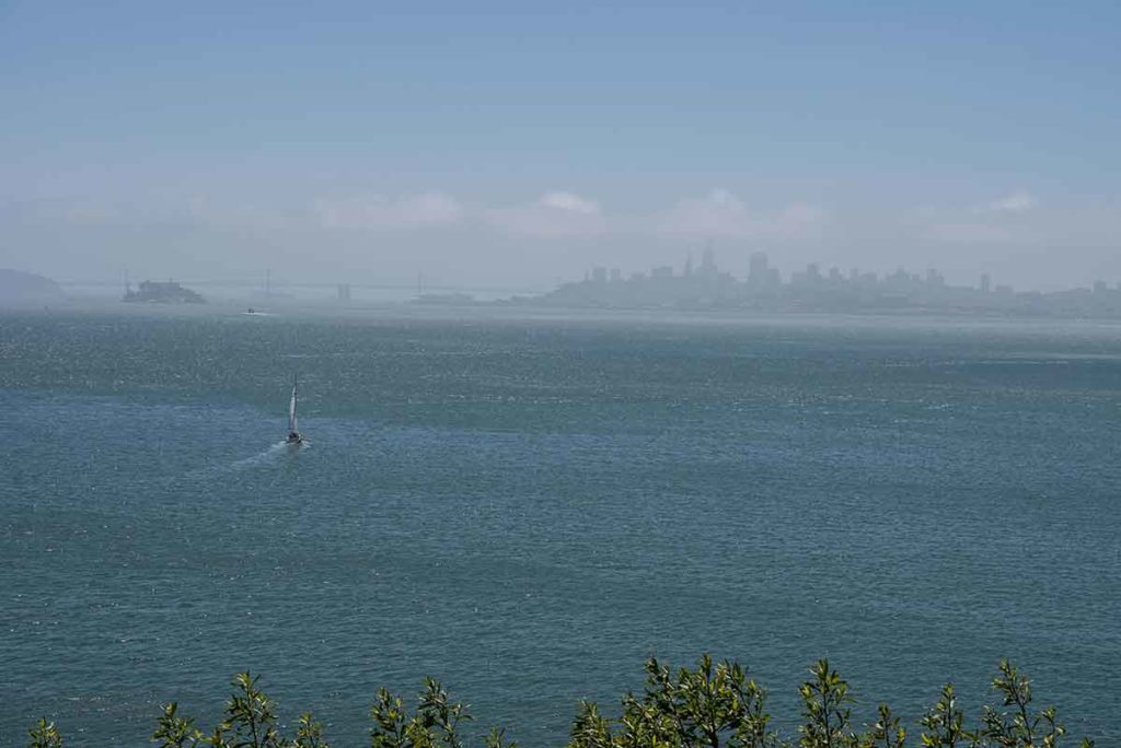 Strategies for Optimum Body Composition with the Mind Pump Crew - DSC0518