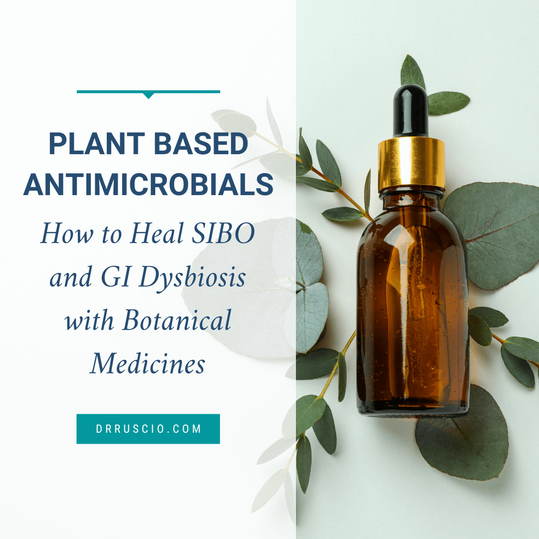 Plant Based Antimicrobials – How to Heal SIBO and GI Dysbiosis with Botanical Medicines