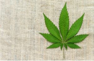 Medical Cannabis - CBD Reduces Inflammation - is hemp the best alternative to synthetic materials 690x450