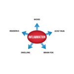 Probiotics - Inflammation