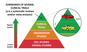 Probiotics SEO Summaries of several clinical trials