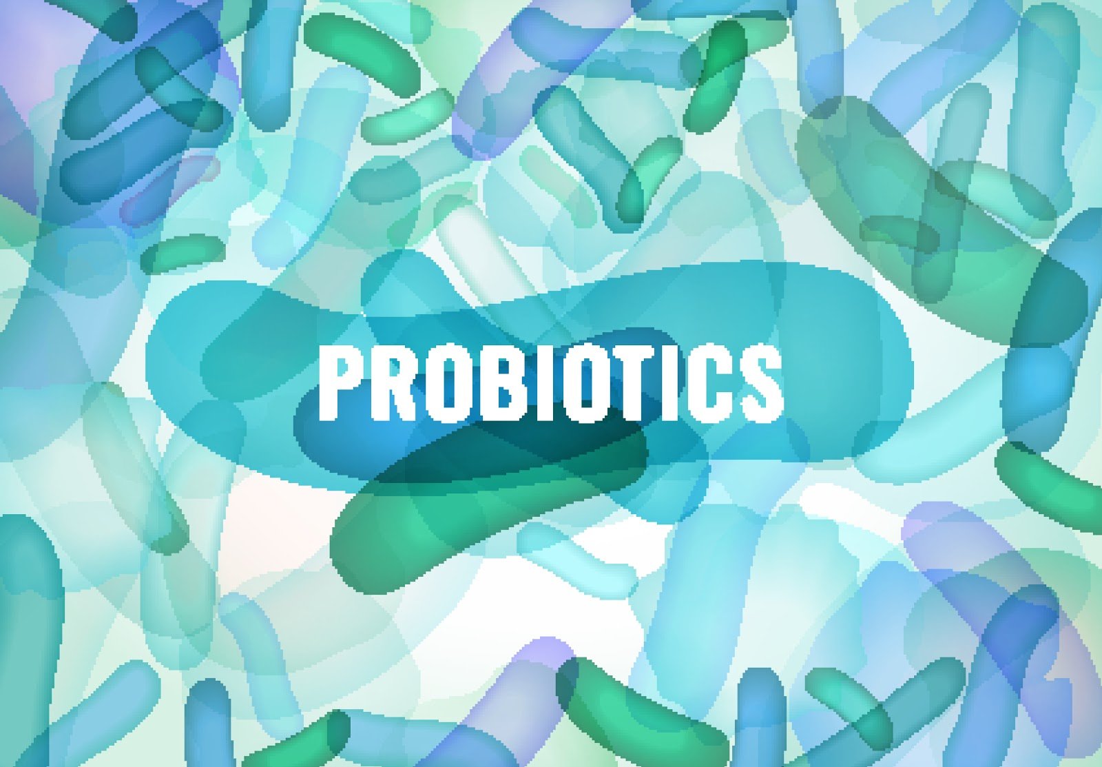 spore probiotics sibo