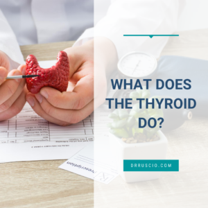 What Does the Thyroid Do old?
