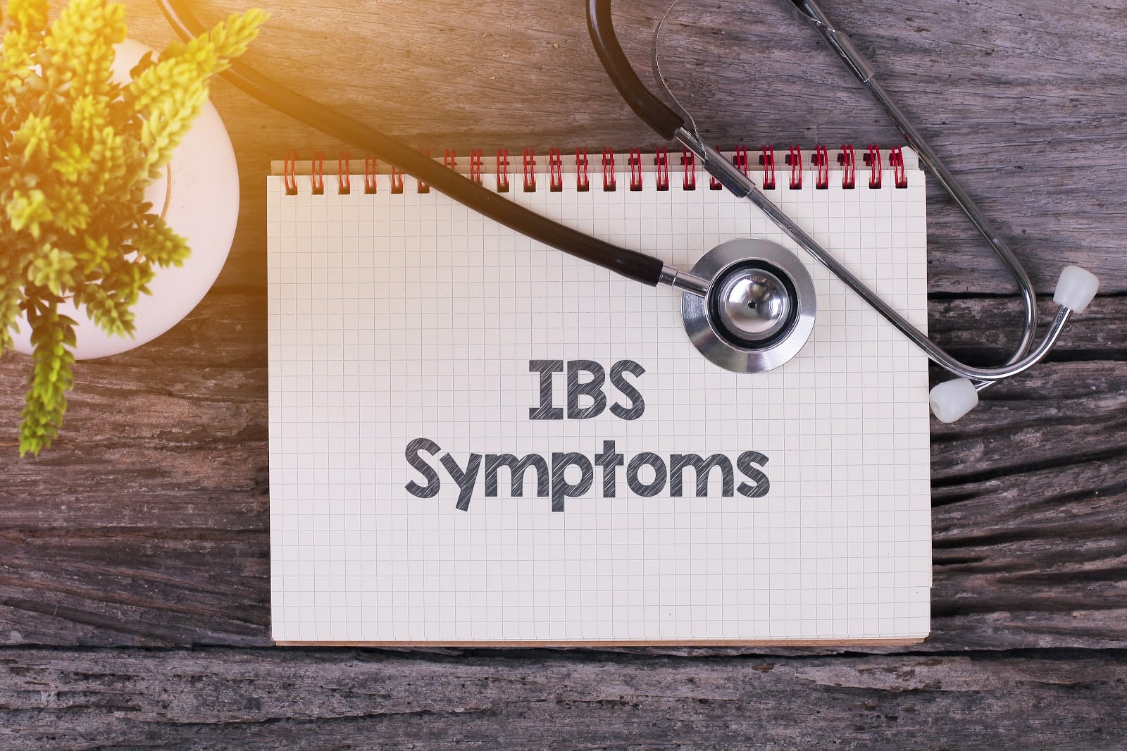 ibs symptoms word on notebook, stethoscope and green plant