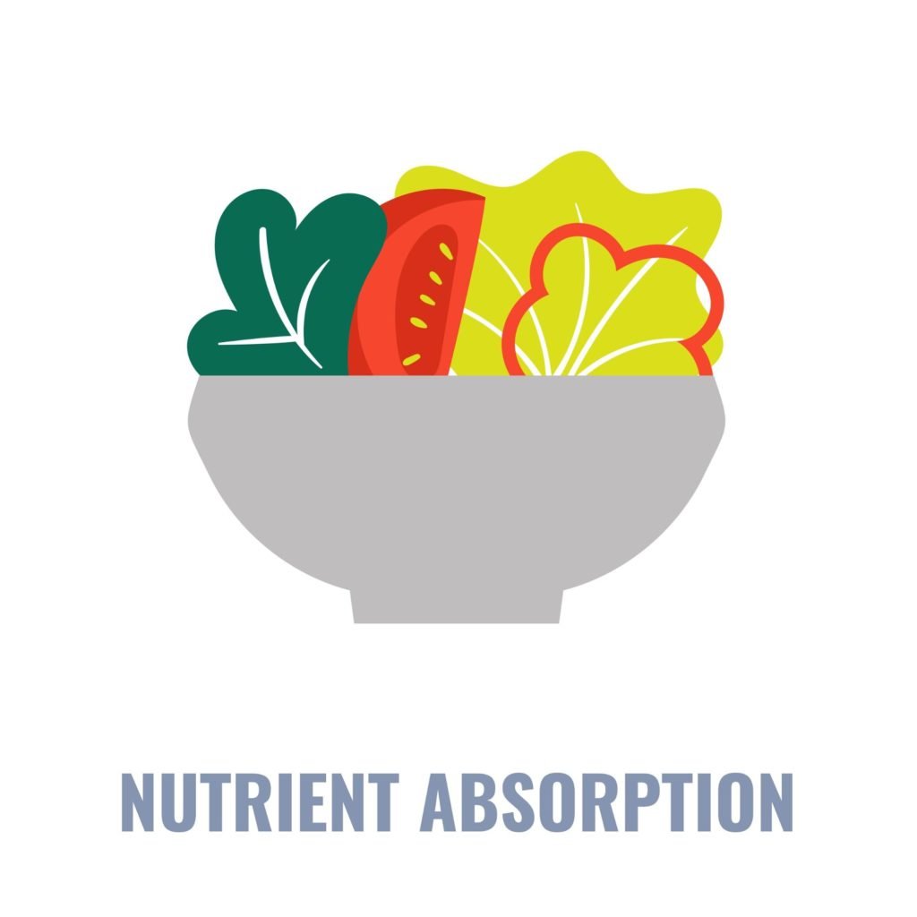 nutrient absorption