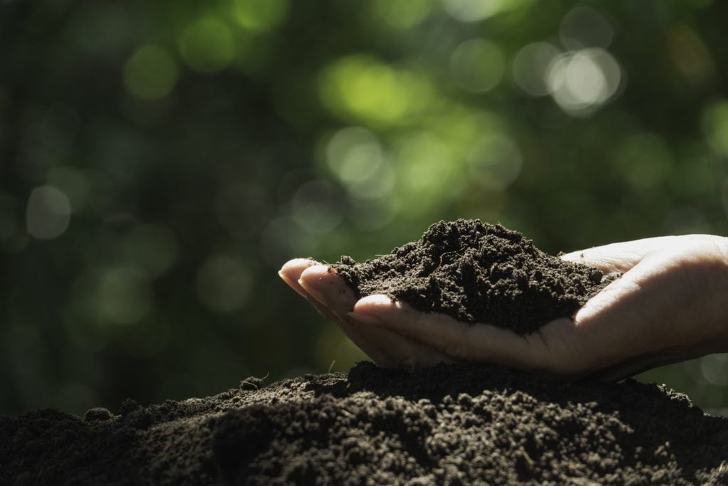 Soil-based probiotics: Hand holding soil