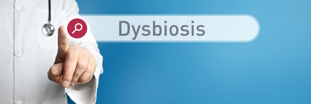 Probiotics for Constipation: Doctor pointing on search box with the word Dysbiosis
