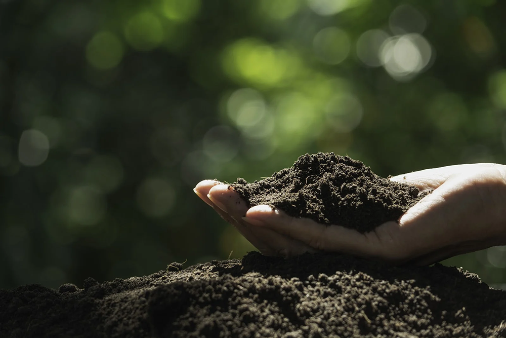 Here’s the Dirt on Soil-Based Probiotics