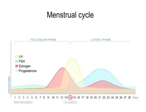 PMS Fatigue: What It Is, Causes, and How To Treat It