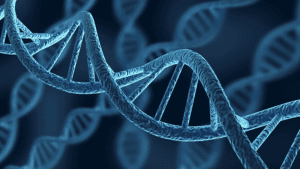 What’s Really Causing Your MTHFR Gene Mutation Symptoms