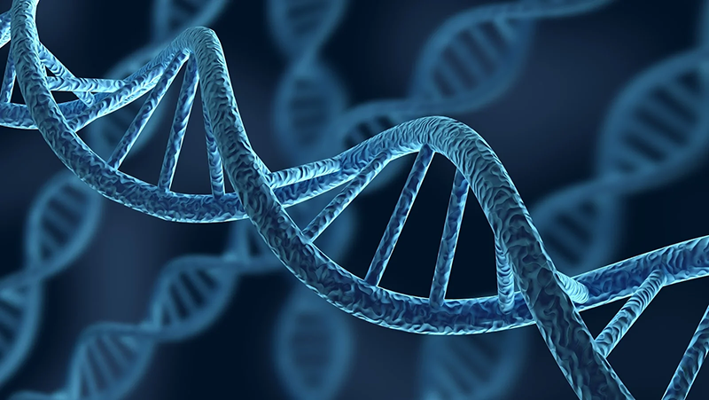 MTHFR Gene Mutation: Symptoms & Treatment