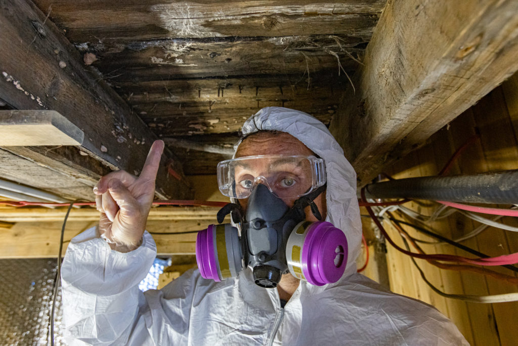 mold toxicity: Man wearing protective gear while pointing to mold growing on wooden ceiling