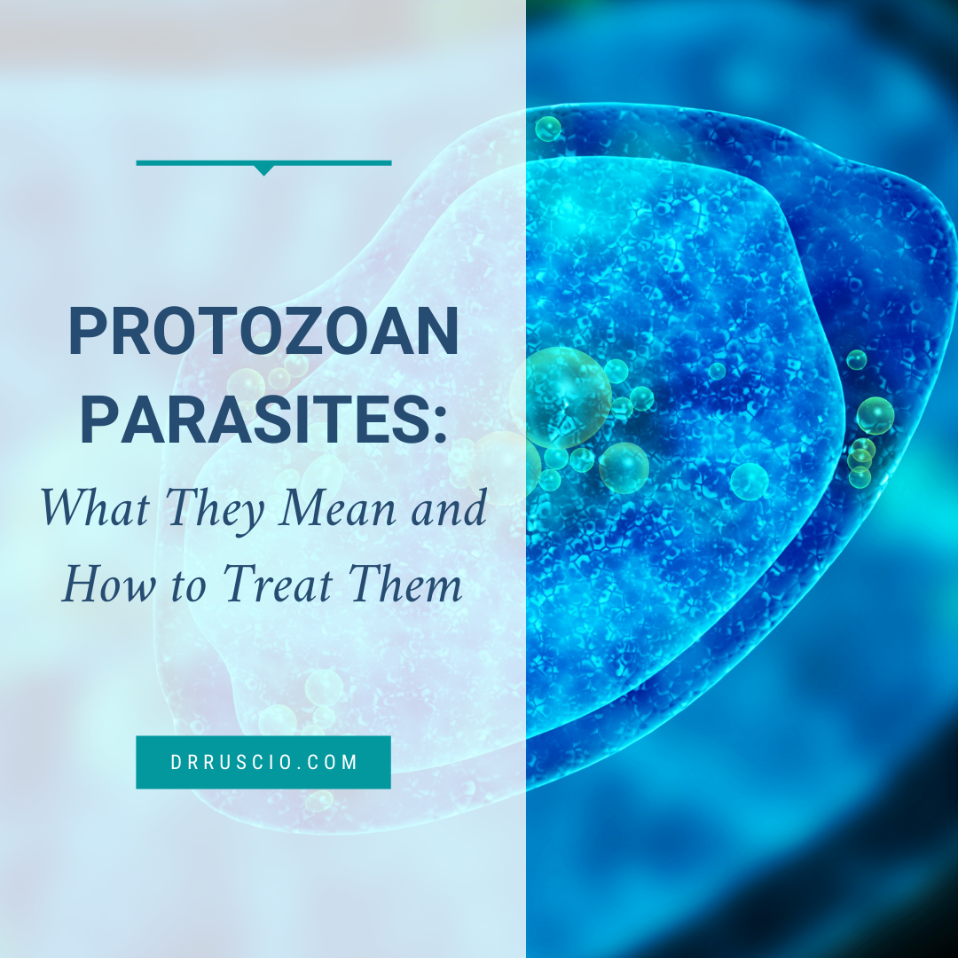 Protozoan Parasites: What They Mean and How to Treat Them
