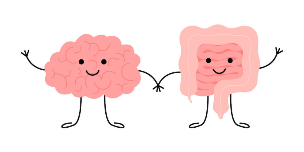 Meditation for IBS: brain and intestines illustration