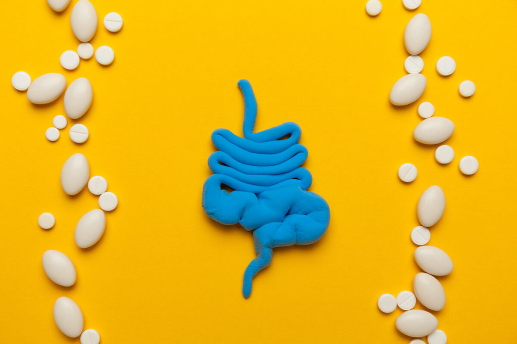 Mood boosting probiotics: intestine made from clay