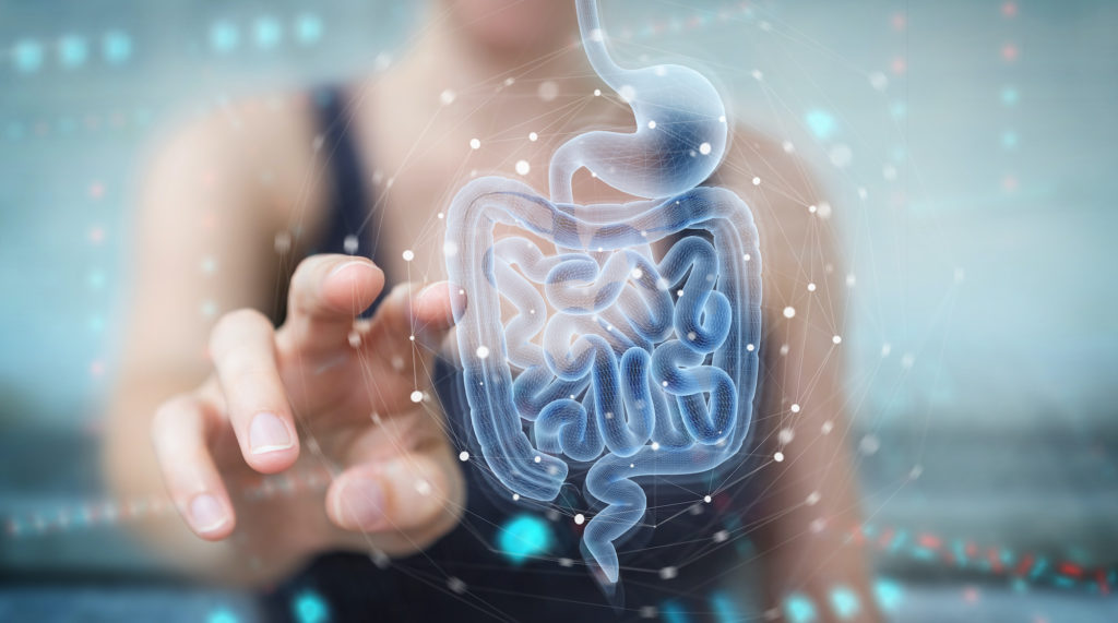 Leaky gut supplements: A woman pointing to a digestive system model