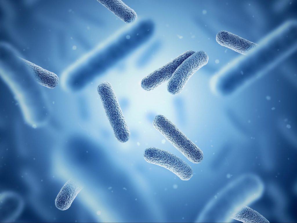 adrenal fatigue symptoms: Photo of bacteria with a blue background
