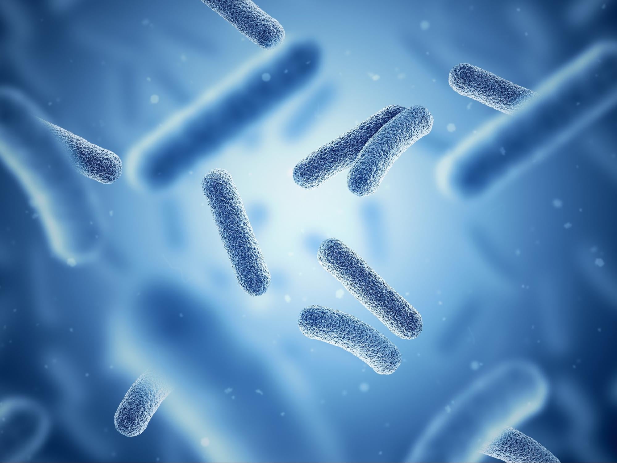 adrenal fatigue symptoms: Photo of bacteria with a blue background