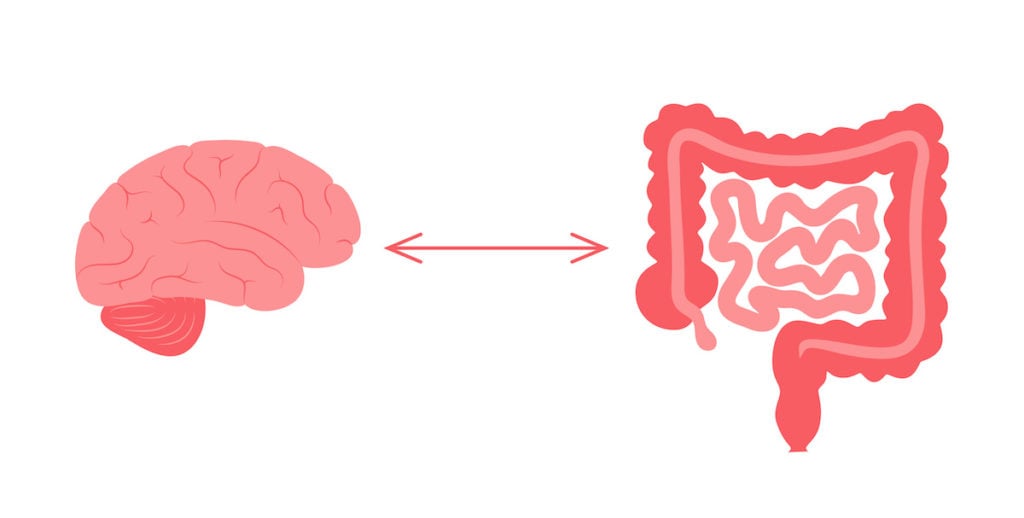 Vagus nerve massage: the gut-brain connection