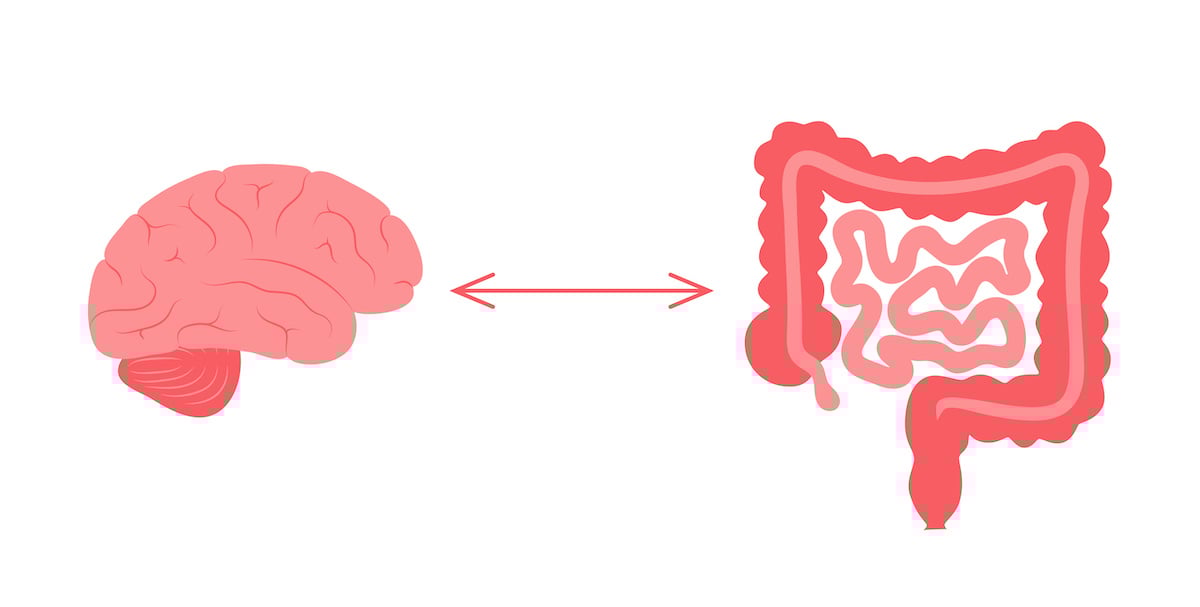 Vagus nerve massage: the gut-brain connection