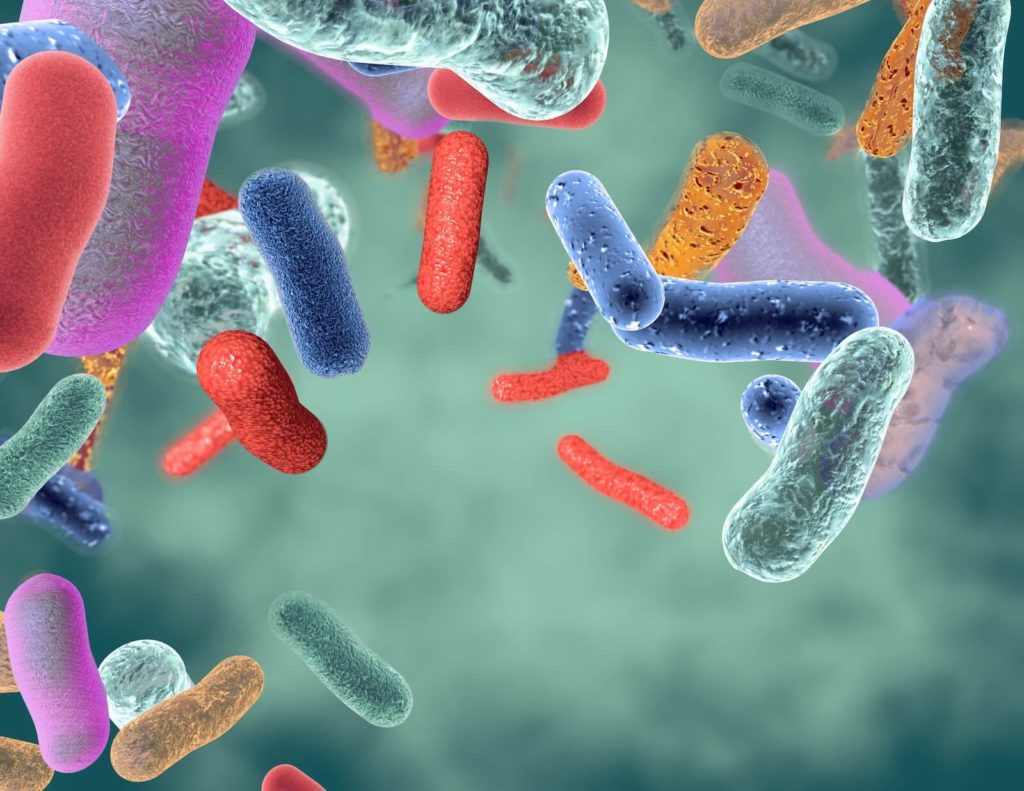 The Role of ButyrateProducing Probiotics in Gut Health