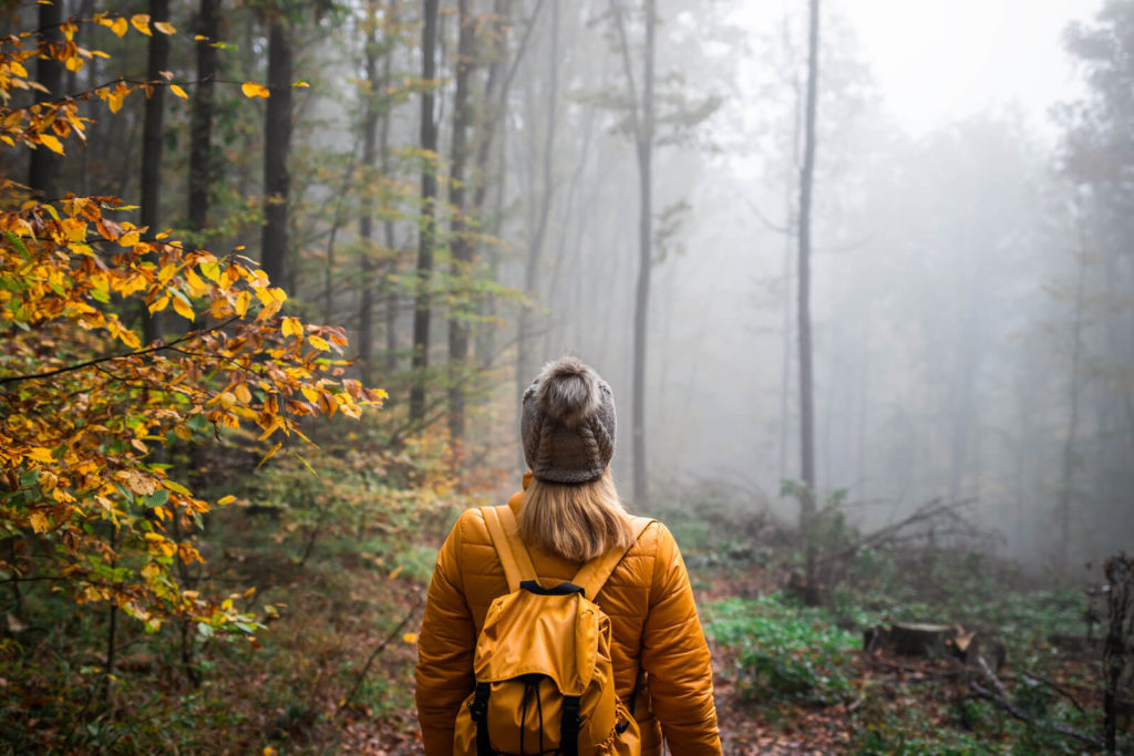 Hiker walking through the woods