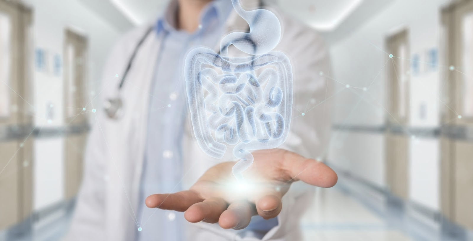 colitis treatment: Doctor with a 3D hologram of the digestive system in his hand