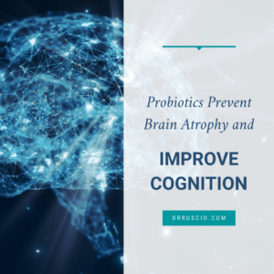 Probiotics Prevent Brain Atrophy and Improve Cognition