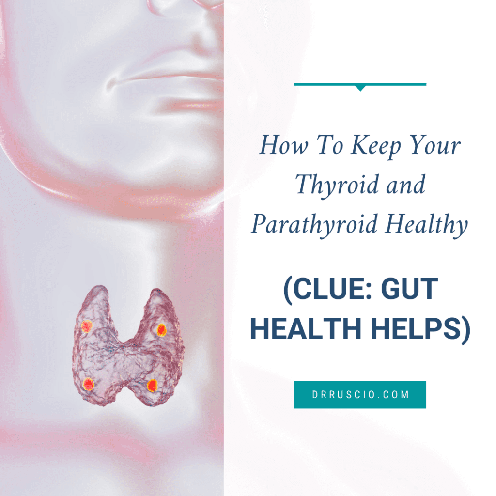 thyroid and parathyroid