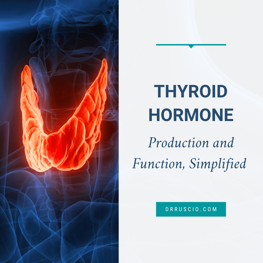 Thyroid Hormone Production And Function Simplified Dr Michael