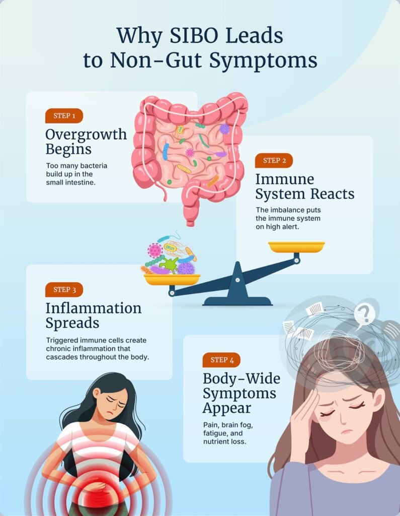 A diagram titled "Why SIBO Leads to Non-Gut Symptoms" illustrating four steps: 1) Overgrowth Begins with bacteria in the small intestine, 2) Immune System Reacts with a scale showing imbalance, 3) Inflammation Spreads with a woman clutching her inflamed abdomen, and 4) Body-Wide Symptoms Appear with a woman experiencing pain and brain fog.